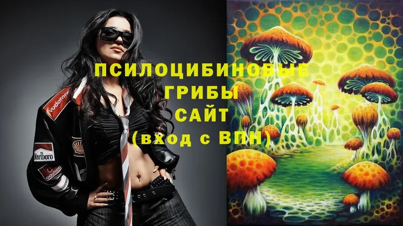 что такое наркотик  blacksprut вход  Галлюциногенные грибы Psilocybine cubensis  Выкса 